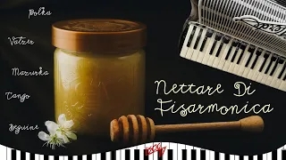 Nettare di Fisarmonica | I Classici del Liscio Folk Italia 2024 | Tango, Valzer, Mazurka