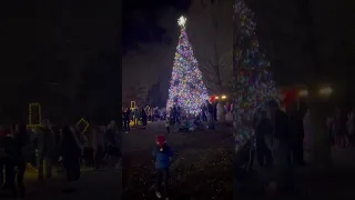 Giant Christmas Tree