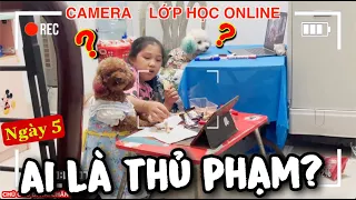 NGÀY THỨ 5: TRUY TÌM THỦ PHẠM ĂN HÀNG, XEM PHIM TRONG GIỜ HỌC ONLINE | CHÚ CHÓ ĐI HAI CHÂN