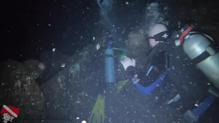 Honolulu Night Dive | Sea Tiger Shipwreck | vlog 453