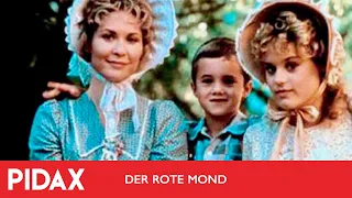 Pidax - Der rote Mond - Eine Weihnachtsgeschichte (1987, George Miller)