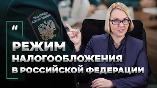 Режимы налогообложения в Российской Федерации. Выбираем самые оптимальные