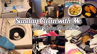 VLOG 50 l SUNDAY CLEAN WITH l MINI GROCERY HAUL #cleaning #laundry