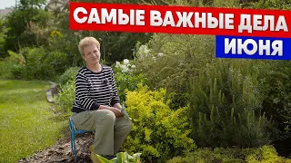 Важные дела июня