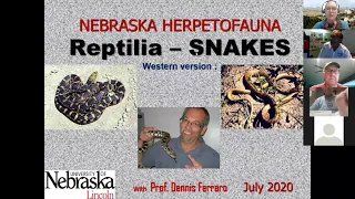 Snakes of Nebraska