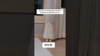 когда попросила мужа уложить детей спать😂