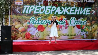 Яблочный Спас  Концерт 4  19 08 17 г