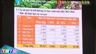 Triển khai giải pháp phòng chống hạn, mặn và cấp mã số vùng trồng cây ăn trái vùng ĐBSCL