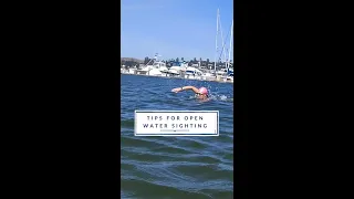 Quick Tips For Open Water Sighting! #Shorts