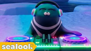 The Best EDM Mix by Tuxedo Seal X Shiba SealㅣSEALOOKㅣEP.85