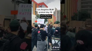 BLM Los Angeles Protests 2020 (TikTok)