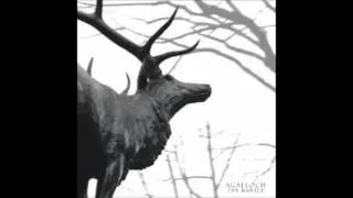 Agalloch - In the Shadow of Our Pale Companion