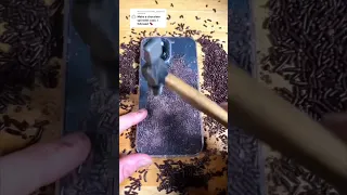 I made a CHOCOLATE SRINKLES iPhone case! 🍫📱