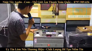 Loa kéo điện NT 1102 Pro ✅ | LOA Bass đôi 40 | Dàn karaoke di động cao cấp công suất lớn