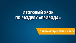 Итоговый урок по разделу «Природа»