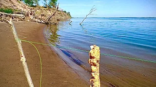 Рыбалка АЖ РУКИ ДРОЖАТ. БЕШЕНЫЙ КЛЕВ.