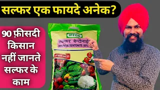 किसान भाइयों जान लो सल्फर के कमाल फायदे|Benifits & Types of Sulphur for Crops in Hindi