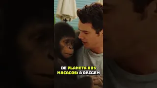 Você Entendeu Errado PLANETA DOS MACACOS: A ORIGEM