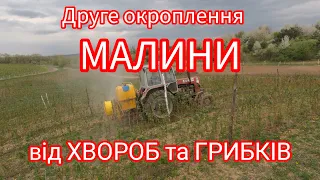 Друге❗❗ОБОВ'ЯЗКОВЕ❗❗ окроплення малини від хвороб. Догляд та огляд малини. Все що потрібно малині