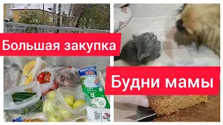 ✅Будни мамы/Большая закупка продуктов🛒Уборка и готовка