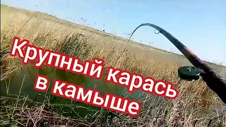 ШОК! Вот это караси лапти в этих камышах! Рыбалка на ПОПЛАВОК.