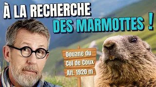 Jamy part à la recherche des marmottes et des chamois