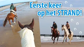 Voor de EERSTE KEER met mijn paard naar HET STRAND! 😰