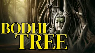 Bodhi Tree  | Ambient Meditation Music | Meditation Healing Relaxation