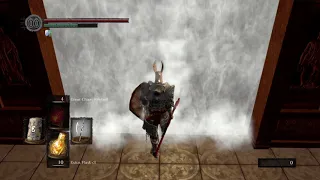 DARK SOULS™: REMASTERED Ornstein and Smough heavy armor and halberd +10 build
