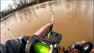 There were GIANT CATFISH in this RIVER (Wateree River)