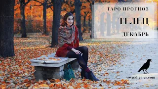 ТЕЛЕЦ - ТАРО - ДЕКАБРЬ * плюс Бонус / Diva V.S