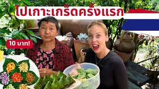 เที่ยวเกาะเกร็ดชิมอาหารใหม่ๆ🇹🇭(พูดไทย)