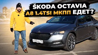 Урвал SKODA OCTAVIA A8 1.4 TSI МКПП нюансы ручной коробки