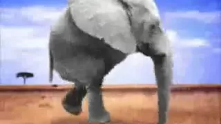 Retarded running elephant