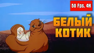 ▶  Белый котик (1975) 【4K, 50Fps】- Реставрация | Мультик про белого морского котика (Киплинг)