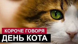 КОРОЧЕ ГОВОРЯ, ДЕНЬ КОТА [От первого лица] КОРОЧЕ ГОВОРЯ, Я БЕЗДОМНЫЙ КОТЕНОК