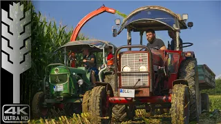 Oldtimer Häckseln | SOUNDORGIE!! | Oldtimer Traktoren in der Maisernte