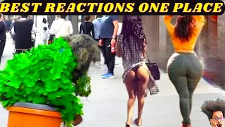 Ultimate Best of Bushman Prank Compilation 2023!!!