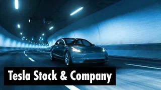 🔴 Tesla Stock & Company Review (w/ Grant Williams)