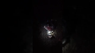 Поезд сбил мужчину в Ленинском районе Саратова