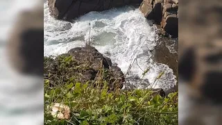 Noosa Heads  Boiling Pot