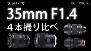 最新 35mm  F1.4 のレンズ4本の撮影画像比較。ペット、風景、星空。
