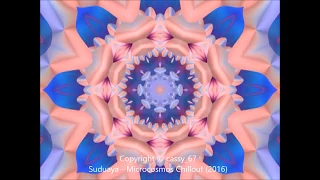 Kaleider Animation ---- Suduaya - Microcosmos Chillout & Ambient Podcast 040
