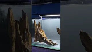 Scaping with Rentek woods | Nickz Aquascape