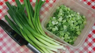 Freezing Green Onions ~ Money Saving Tips ~ No More Cash in the Trash! ~ Noreen's Kitchen