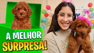 GANHEI O MELHOR PRESENTE DE TODOS - Família Maria Clara e JP