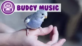 Relax My Budgie - Relaxing Music for Budgies!