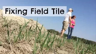 How we Fix  Field Tile using SoilMax Gold Digger & GPS   |   Vlog #38