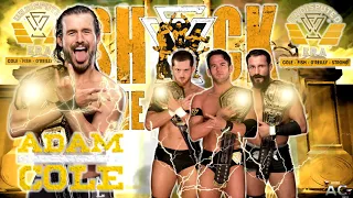 WWE NXT Adam Cole & The UNDISPUTED ERA Theme Song 2021 + Lyrics & BAYBAY Chant (Ft. Josiah Williams)