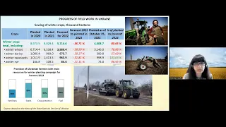 Ukraine and Wheat Market Update - Webinar Slides and Recording